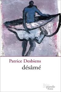 Désâmé_cover