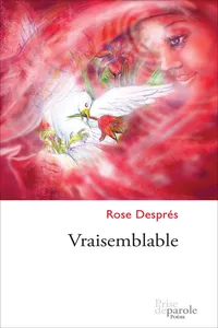 Vraisemblable_cover