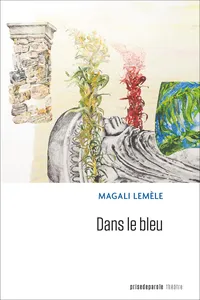 Dans le bleu_cover