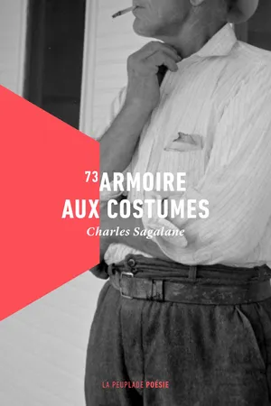 73armoire aux costumes