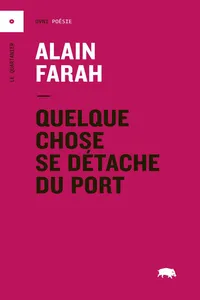 Quelque chose se détache du port_cover