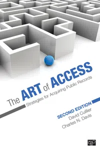 The Art of Access_cover