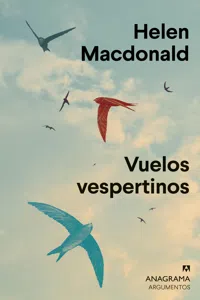 Vuelos vespertinos_cover