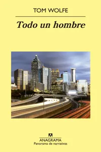 Panorama de narrativas_cover