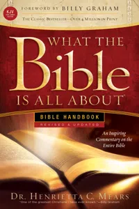 What the Bible Is All About KJV_cover