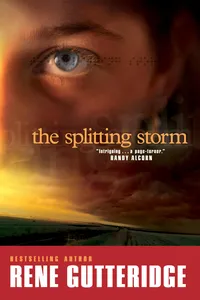 The Splitting Storm_cover