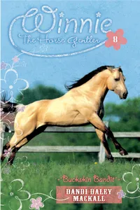 Buckskin Bandit_cover