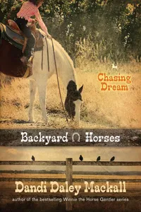 Chasing Dream_cover