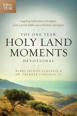 The One Year Holy Land Moments Devotional