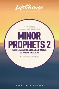 Minor Prophets 2_cover