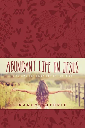 The One Year Abundant Life in Jesus Devotional