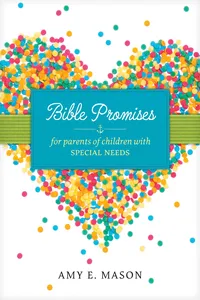 Bible Promises for Parents of Children with Special Needs_cover