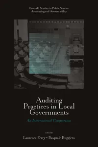 Auditing Practices in Local Governments_cover