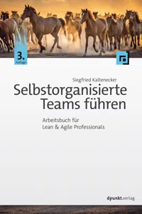 Selbstorganisierte Teams führen_cover