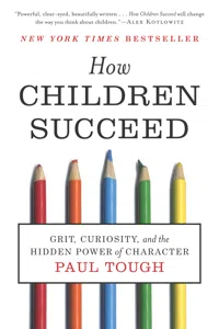 How Children Succeed_cover