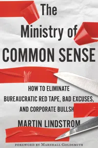 The Ministry Of Common Sense_cover