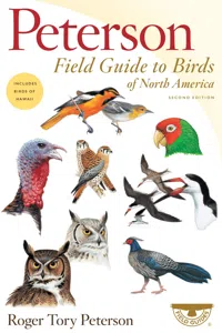 Peterson Field Guide To Birds Of North America, Second Edition_cover
