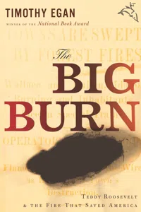 The Big Burn_cover