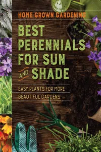 Best Perennials For Sun And Shade_cover