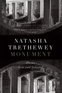 Monument_cover