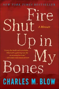 Fire Shut Up in My Bones_cover