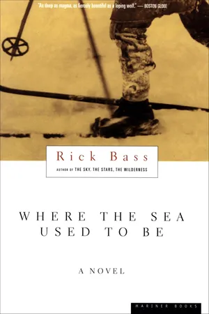Where The Sea Used To Be