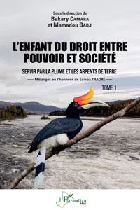 L'enfant du droit entre pouvoir et société Tome 1_cover