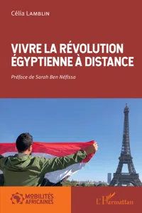 Vivre la révolution égyptienne à distance_cover