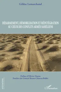 Désarmement, démobilisation et réintégration au coeur des conflits armés sahéliens_cover