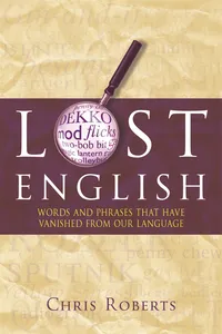 Lost English_cover