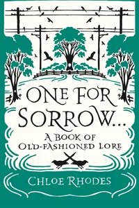 One for Sorrow_cover
