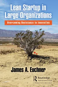 Lean Startup in Large Organizations_cover