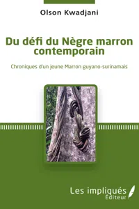 Du défi du Nègre marron contemporain_cover