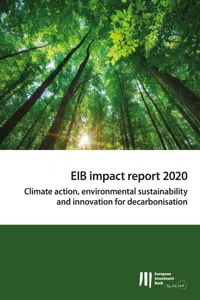 EIB Impact Report 2020_cover