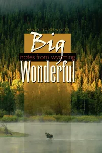 Big Wonderful_cover