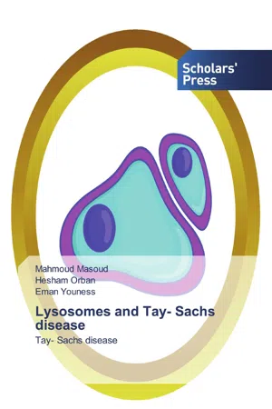 Lysosomes and Tay- Sachs disease