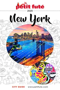 New York 2020 Petit Futé_cover