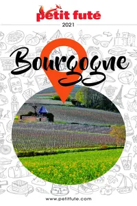 Bourgogne 2021 Petit Futé_cover