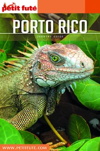 Porto Rico 2019 Petit Futé_cover