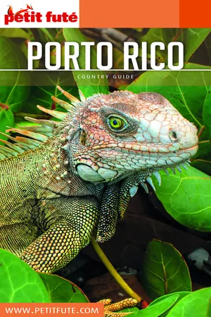 Porto Rico 2019 Petit Futé