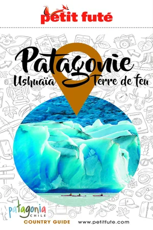 Patagonie 2021 Petit Futé