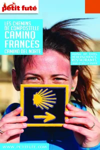 Chemins de Compostelle - Camino frances 2020 Petit Futé_cover