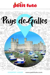 Pays de Galles 2021 Petit Futé_cover