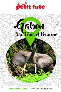 Gabon - Sao Tomé 2022 Petit Futé_cover