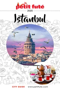 Istanbul 2020 Petit Futé_cover