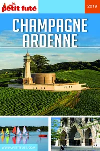 Champagne-Ardenne 2019 Petit Futé_cover