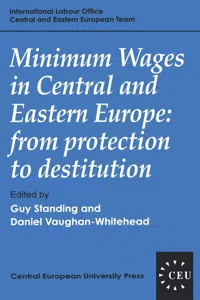 Minimum Wages in Central and Eastern Europe_cover