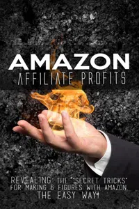 Amazon Affiliate Profits_cover