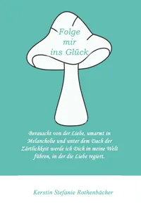 Folge mir ins Glück_cover