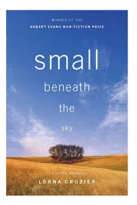 Small Beneath the Sky_cover